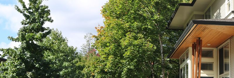 Check the documents, code, tree, and worksite before responding
