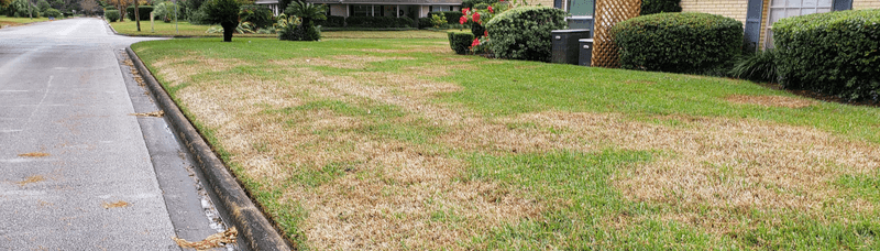 Check the grass and soil before you add water Check the grass and soil before you add water