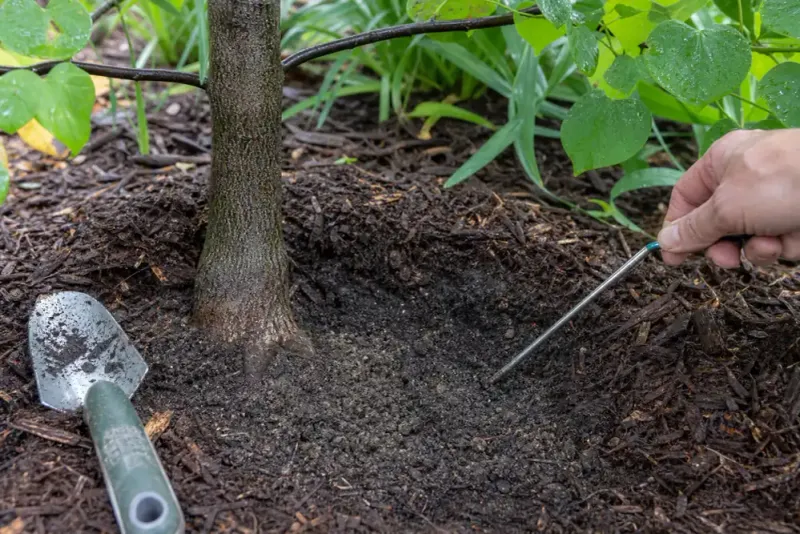 Check the root zone before you turn on the hose Check the root zone before you turn on the hose