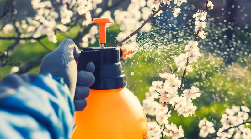 Chemical-light pest management