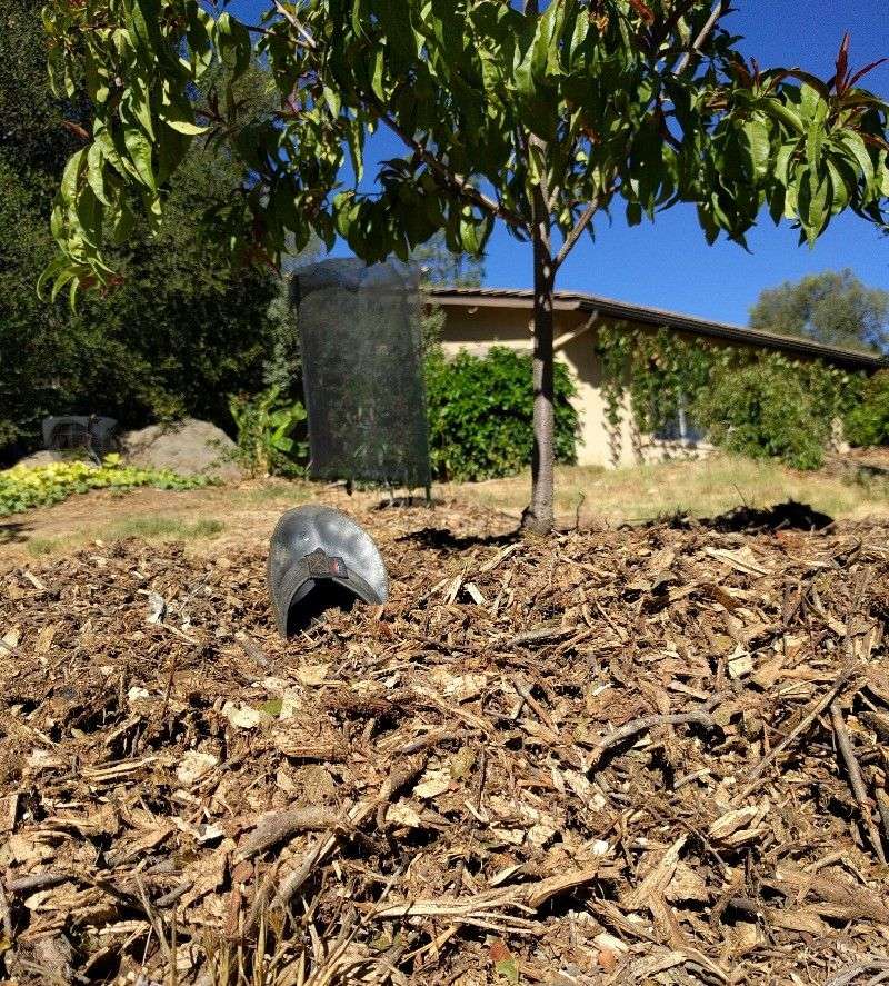 Choose Mulch That Breaks Down and Feeds Sandy Soil