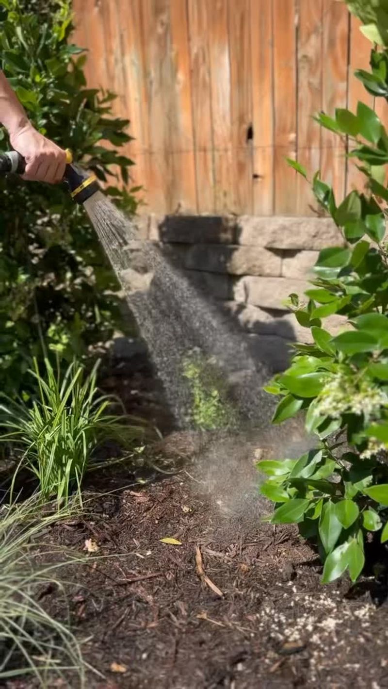 Choose a Hydrated, Healthy Pruning Window