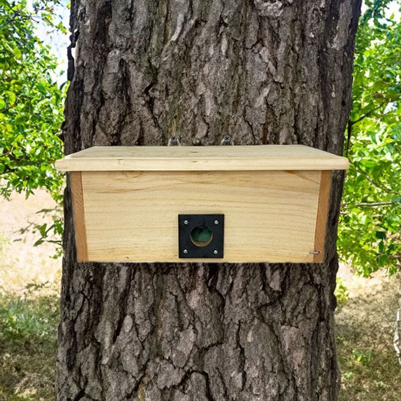 Choose a box designed for the season you want to support