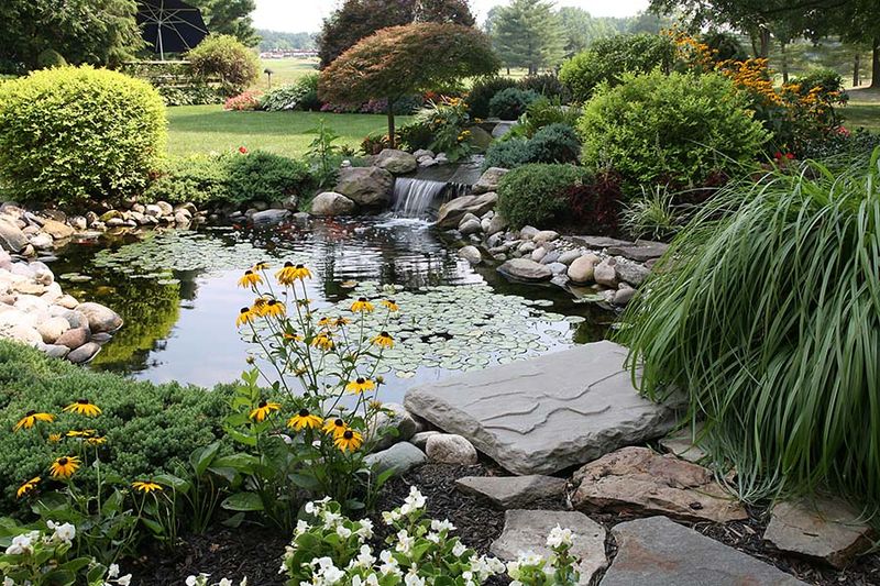 Choose a site with usable sun, intermittent shade, and inspection access