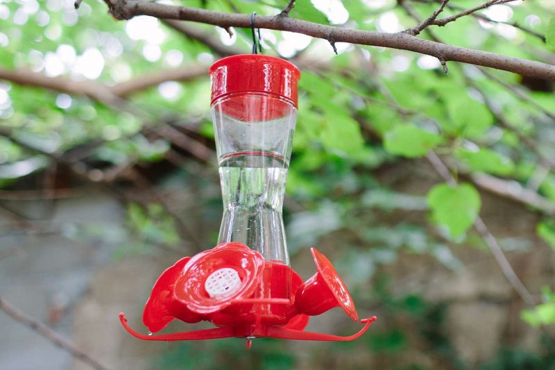 Choose a spot that stays cool, dry, and steady