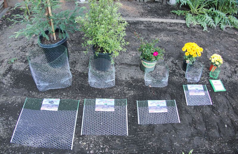 Choose between a root basket and a protected bed