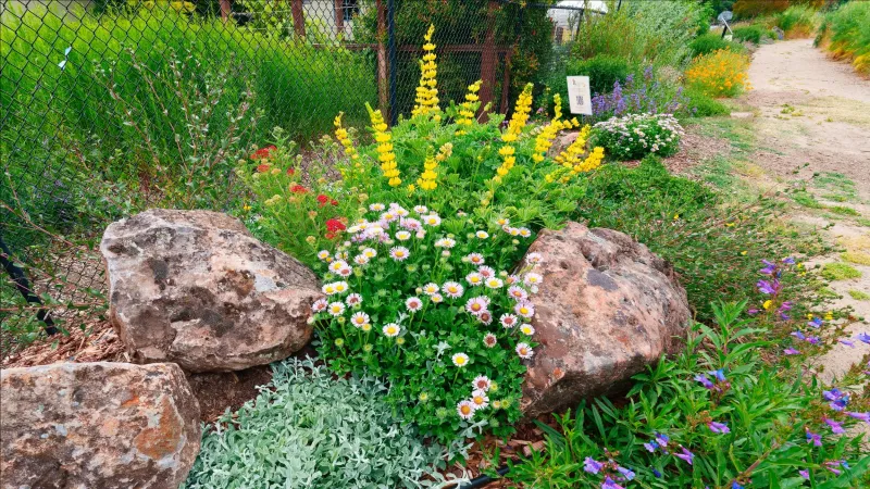 Choose diverse plants that support prey without wasting water Choose diverse plants that support prey without wasting water