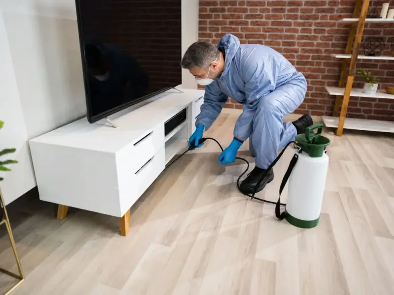 Choose professional help when the nest creates a real hazard
