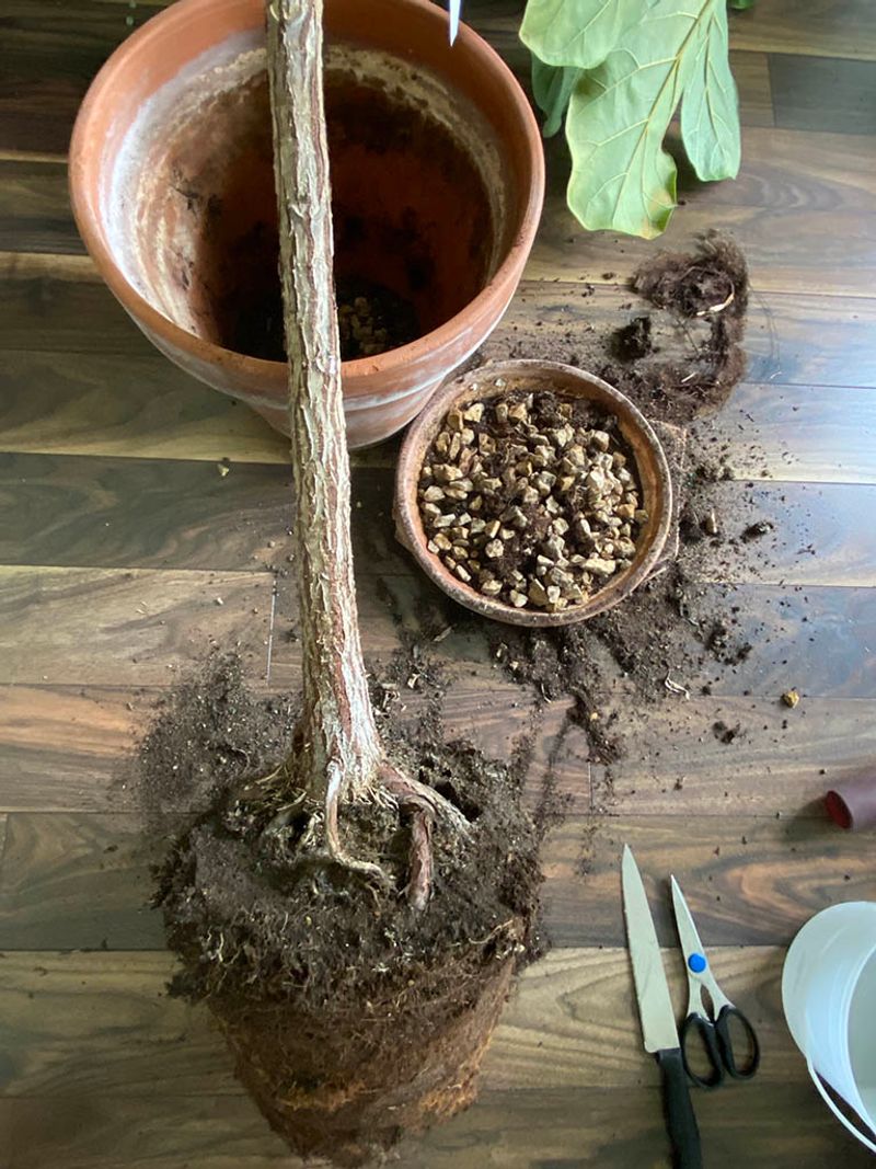 Choose the least disruptive root correction