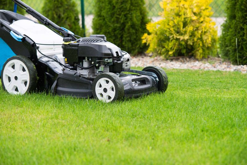 Choose the window that fits your lawn’s conditions Choose the window that fits your lawn’s conditions