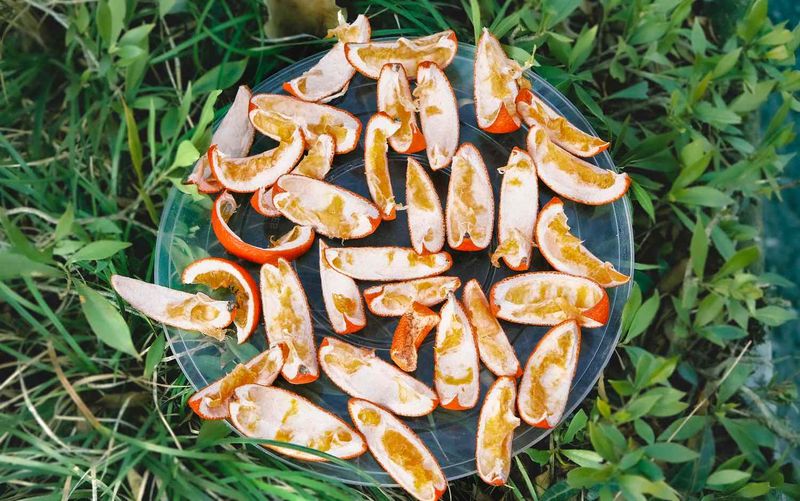 Citrus peels