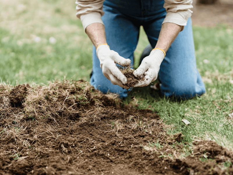 Clay works only when the planting bed drains Clay works only when the planting bed drains