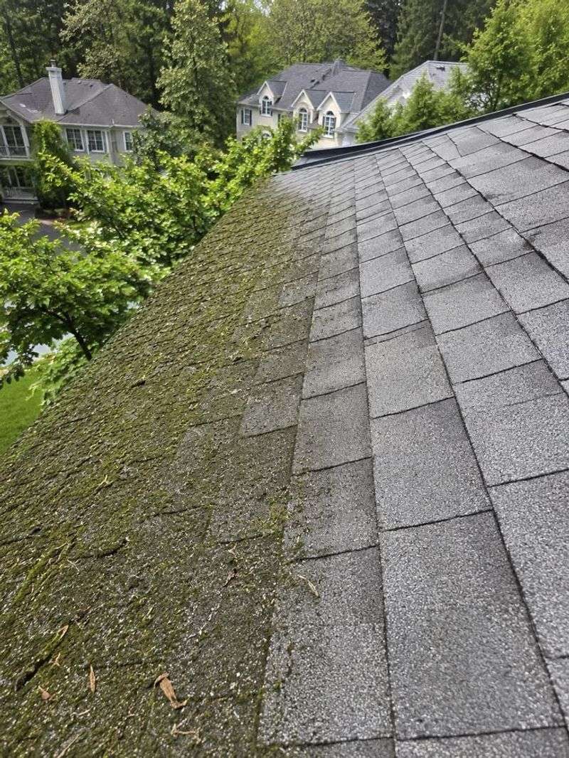 Clean Existing Growth Without Damaging Shingles