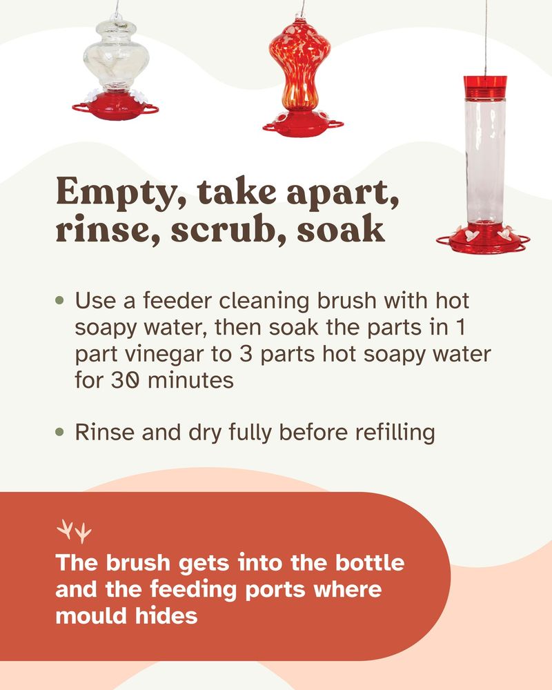 Cleaning must happen at every nectar change