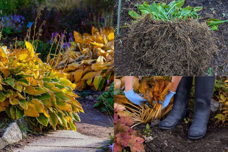 Clear Debris for Better Bed Sanitation