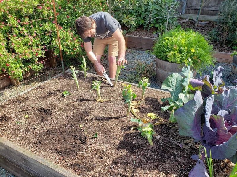 Clear and inspect the bed before adding anything