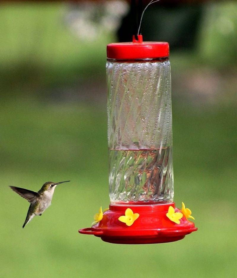 Cloudy Nectar Signals a Spoilage Problem