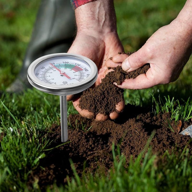 Cold soil can slow establishment and early growth