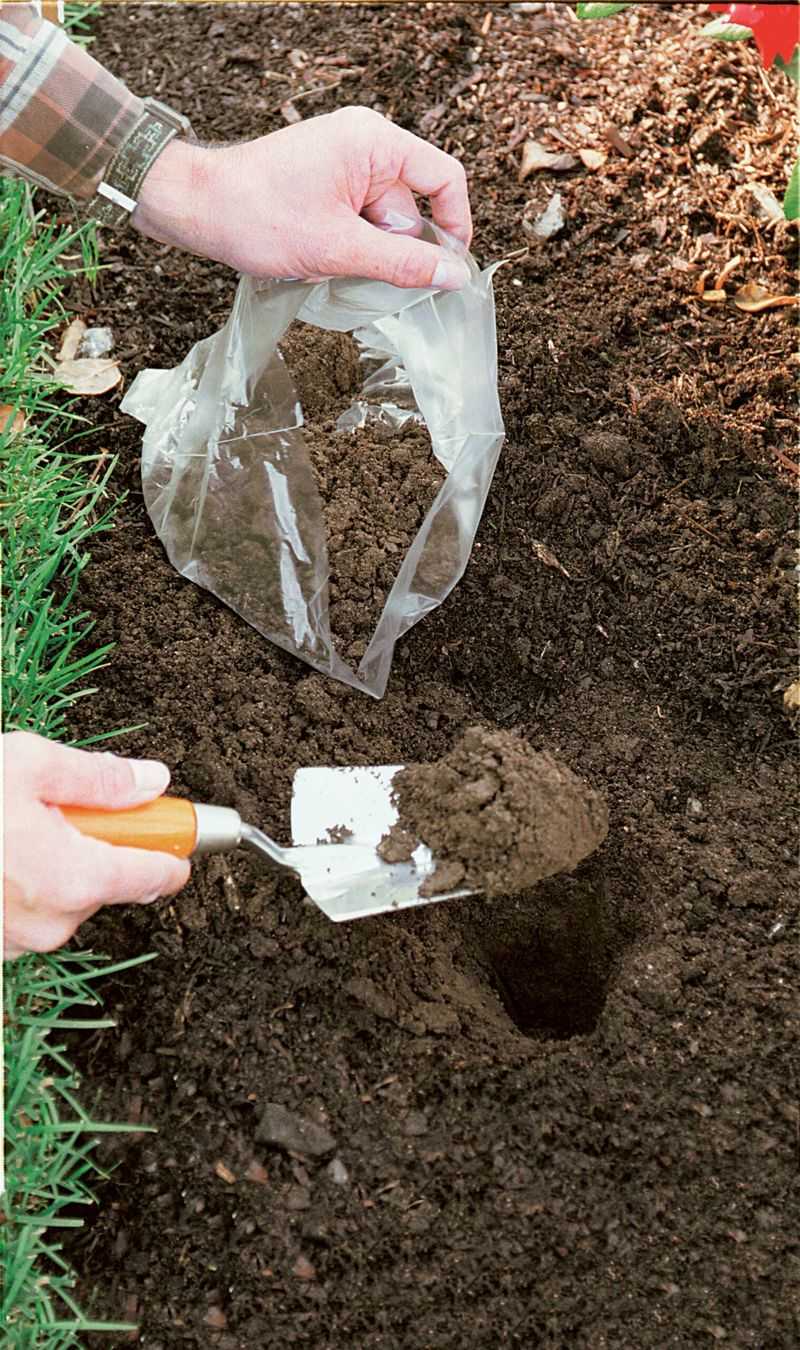 Collect a sample that represents the garden