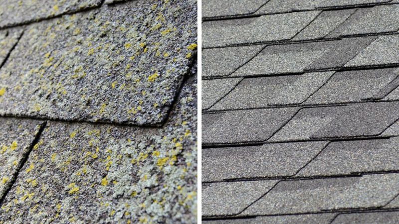 Consider Algae-Resistant Shingles at Replacement Time
