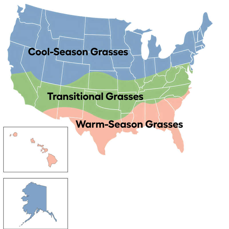 Consider seed choice and regional conditions