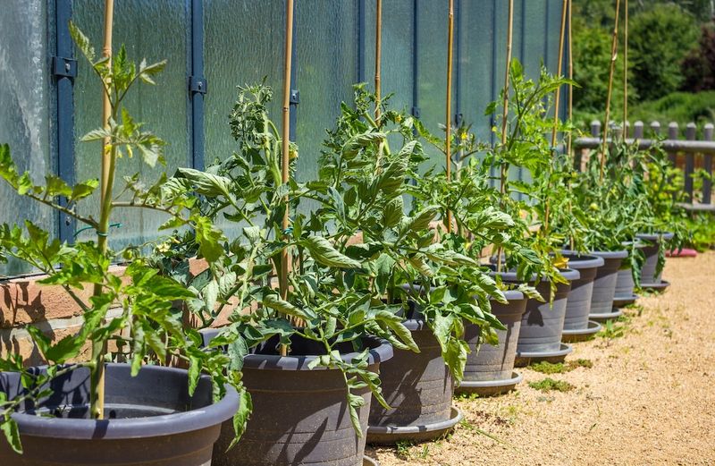 Containers can cross from moist to stressed quickly