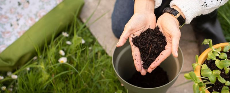 Cool soil can limit phosphorus uptake without proving a deficiency Cool soil can limit phosphorus uptake without proving a deficiency