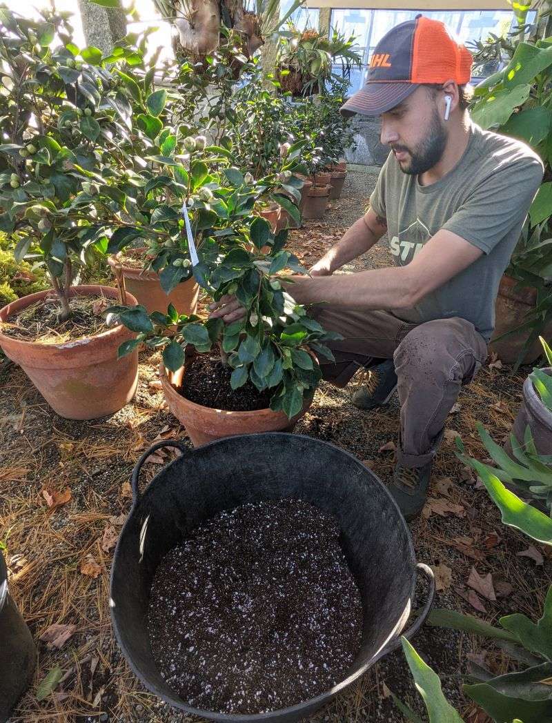 Correct Drainage Without Creating a Water-Holding Pocket
