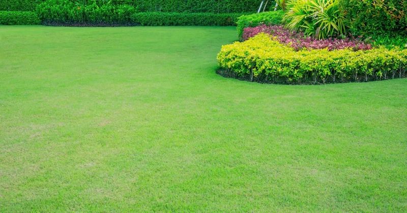 Correct deeper depressions without burying living grass Correct deeper depressions without burying living grass