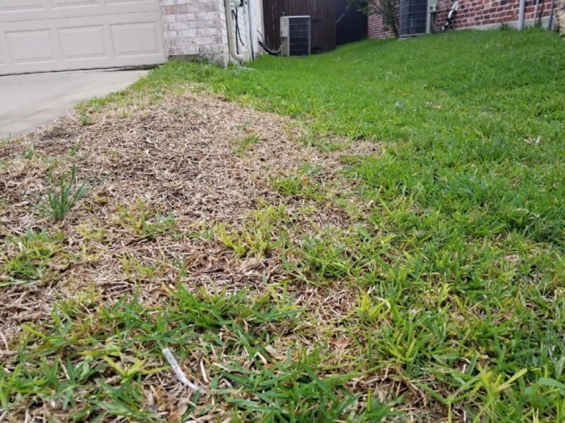 Correct the conditions that keep turf weak Correct the conditions that keep turf weak