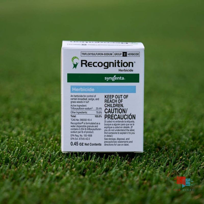 Correct the lawn condition before targeting weeds Correct the lawn condition before targeting weeds