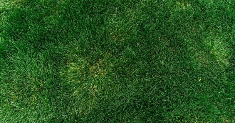 Counts and context matter more than a stray bug