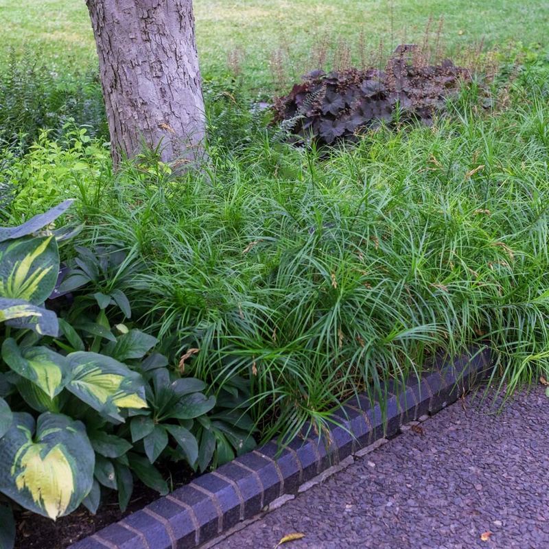 Create Damp Soil Pockets That Do Not Breed Mosquitoes