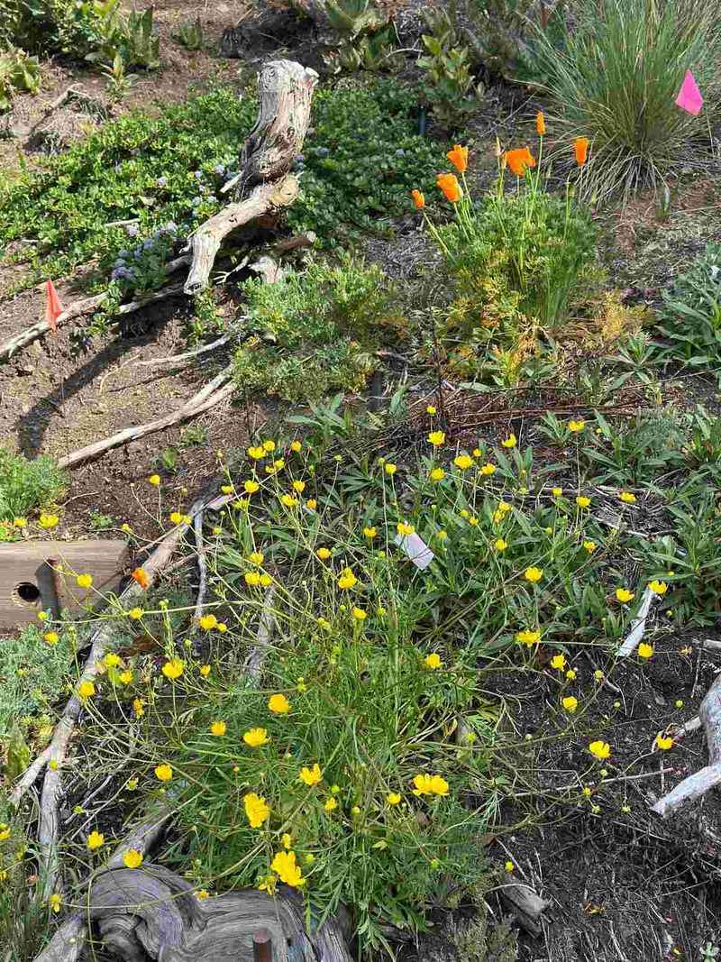 Create a small, managed transition zone beside the cultivated bed