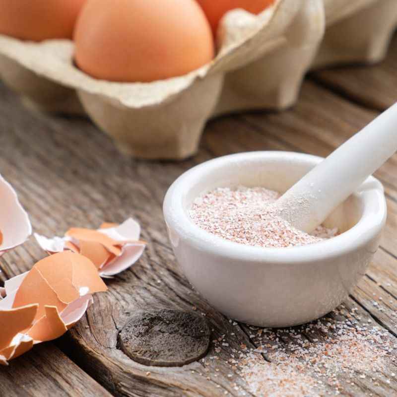 Crushed Eggshells