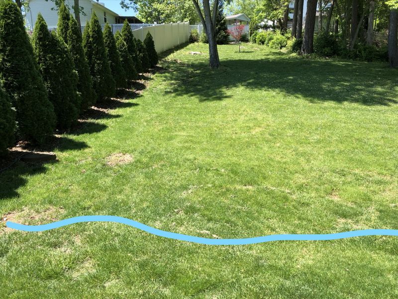 Decide whether the lawn has a shallow low spot or a deeper failure Decide whether the lawn has a shallow low spot or a deeper failure