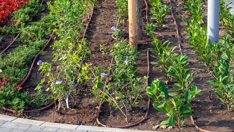 Delivery and timing change how much water reaches the plants Delivery and timing change how much water reaches the plants