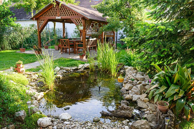 Design a wildlife pond with varied edges and depths