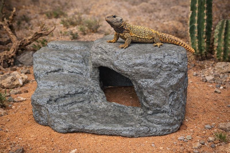 Design deliberate habitat instead of relying on loose debris Design deliberate habitat instead of relying on loose debris