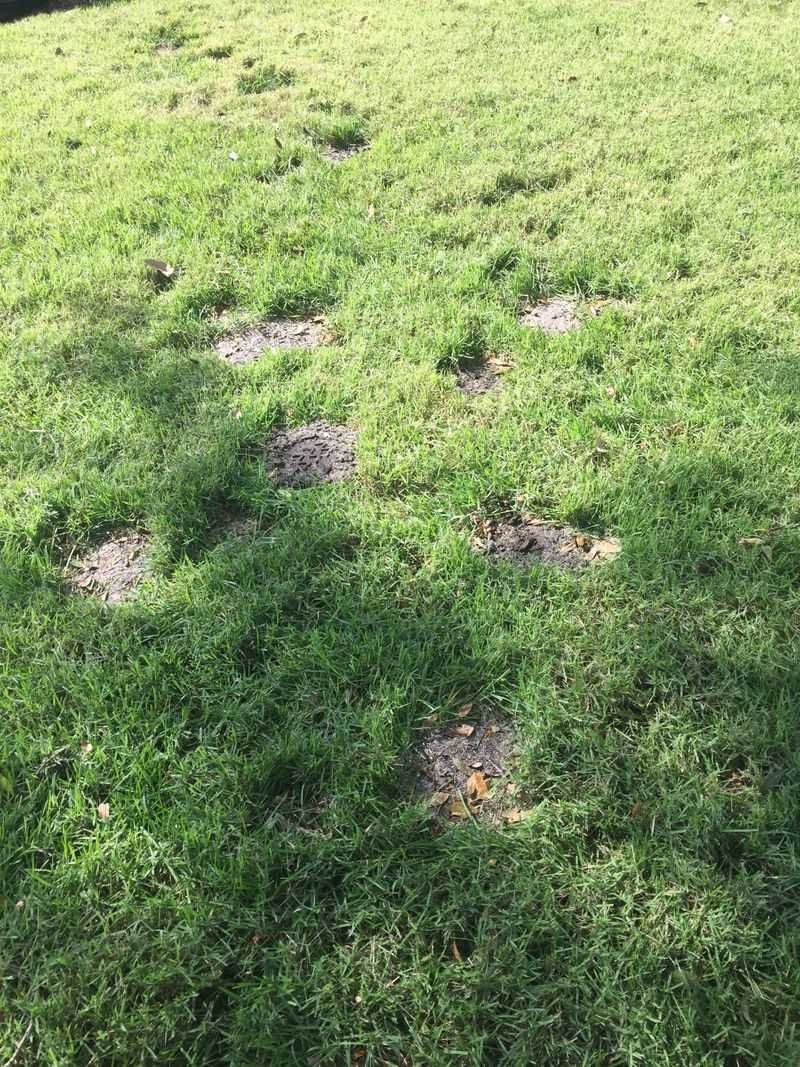 Determine whether the problem is a bump, a turf-health issue, or both Determine whether the problem is a bump, a turf-health issue, or both