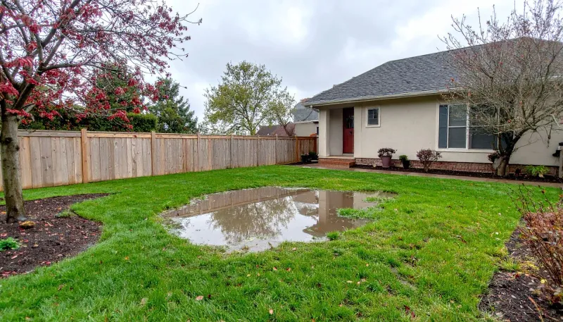 Diagnose the wet corner before you call it a rain garden