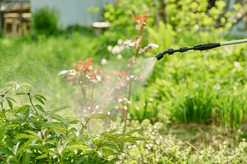 Direct Contact Also Creates Direct Plant Risk