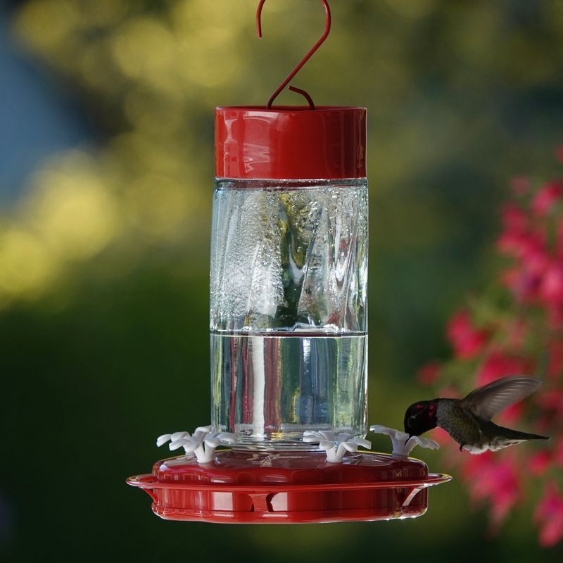 Discard the nectar and take the feeder apart Discard the nectar and take the feeder apart