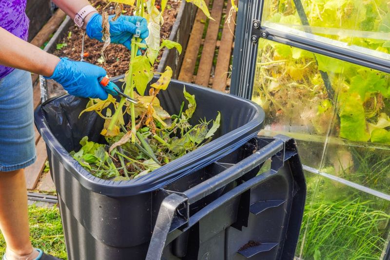 Dispose of suspect plant material with care