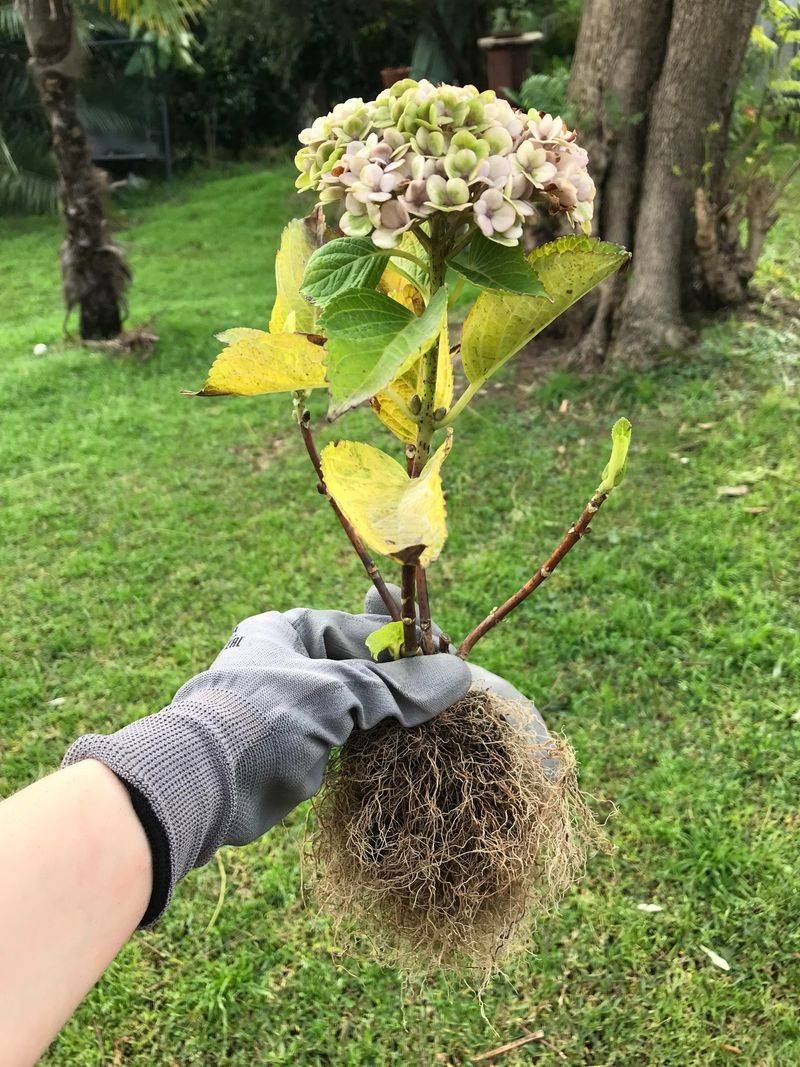 Do not add water to already-wet soil