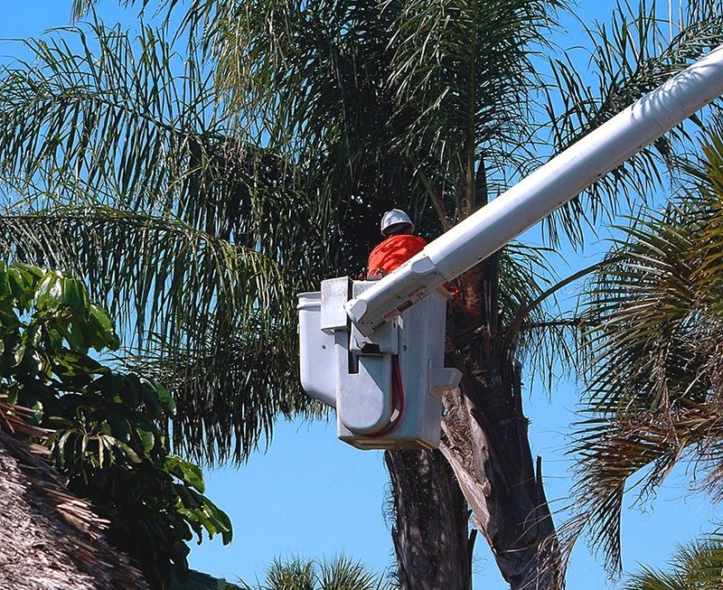 Do not brace a healthy palm or tackle unsafe work Do not brace a healthy palm or tackle unsafe work