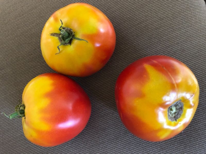 Do not diagnose potassium deficiency from appearance alone