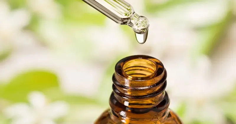 Do not turn mint into a homemade essential-oil treatment