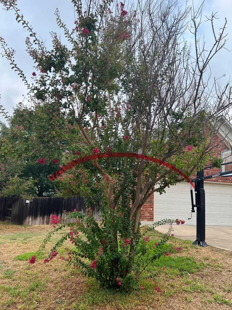 Do not turn pod cleanup into severe pruning