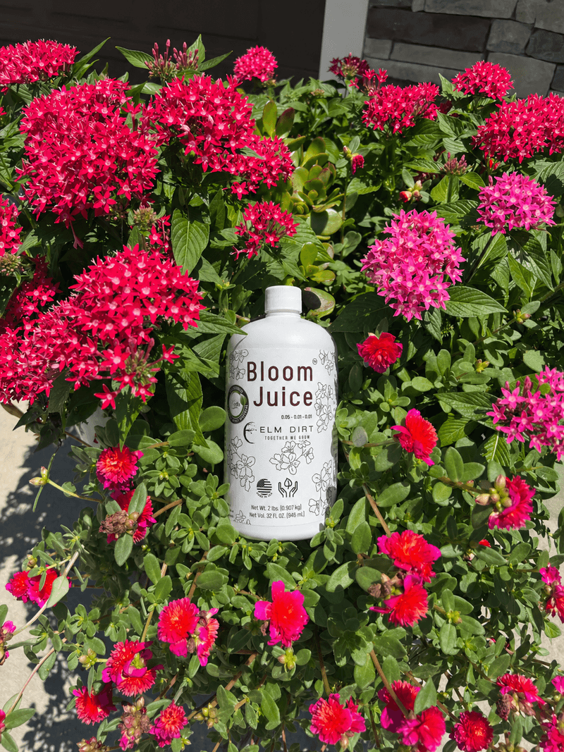 Do not use extra fertilizer as a bloom guarantee